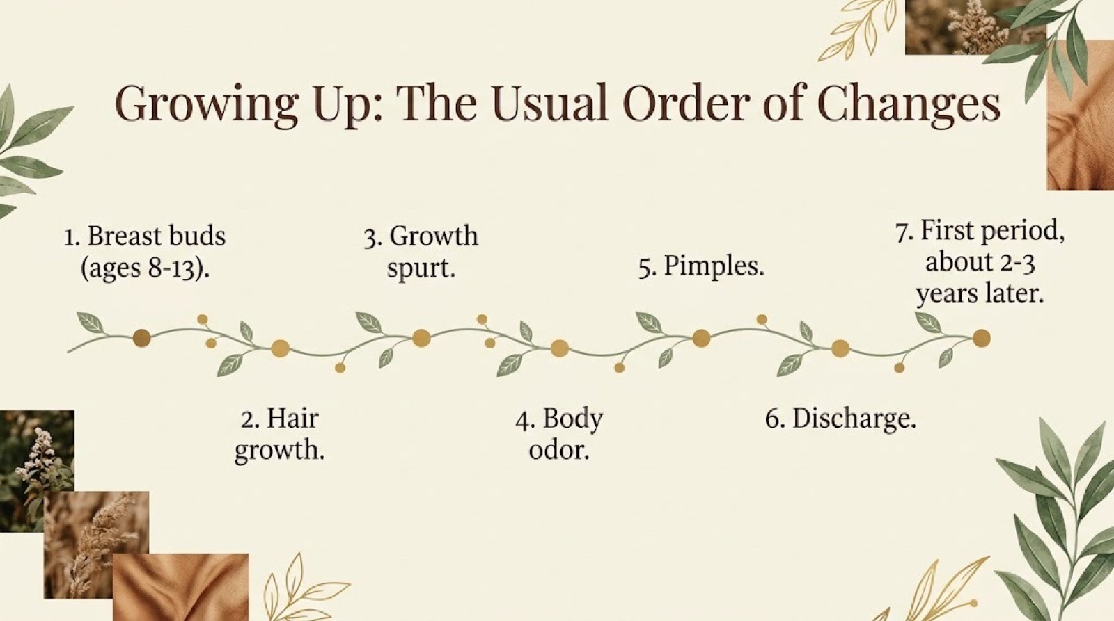 Poster showing the usual order of puberty changes in girls, from breast buds to first period
